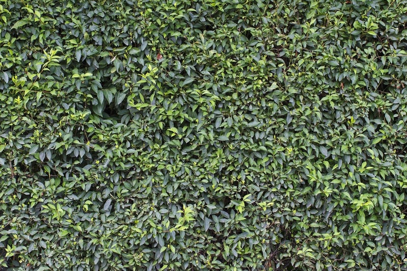 Vertical Garden Structures